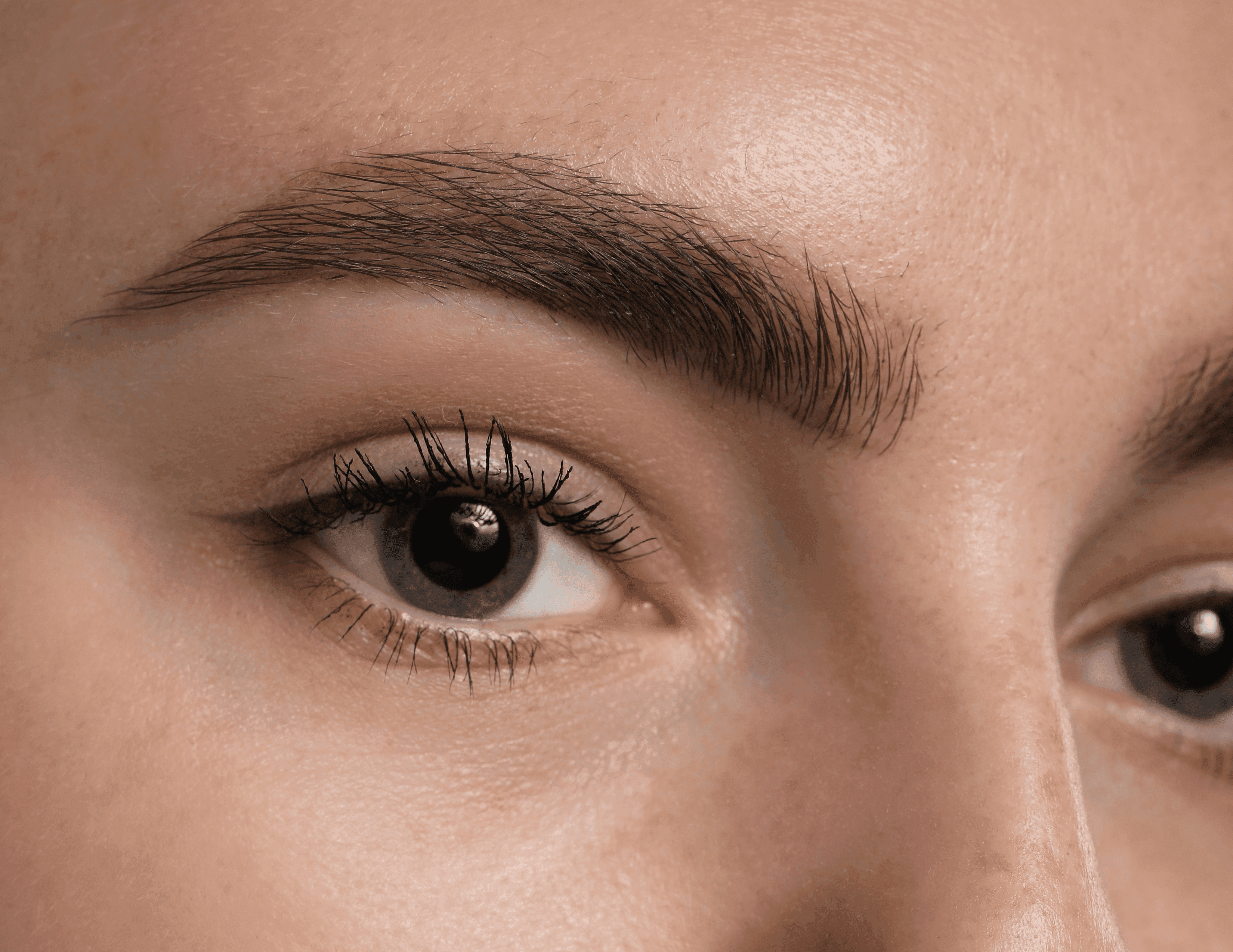Ombre Brows/Powder Brows